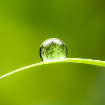 rain drop